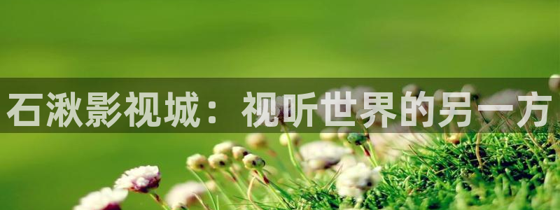 麻豆影视传媒网站